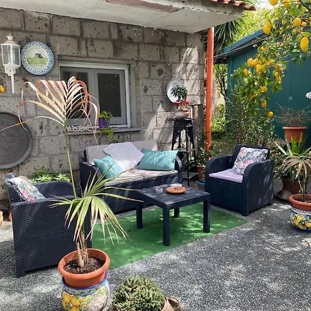 La Maison Des Citrons * Мета